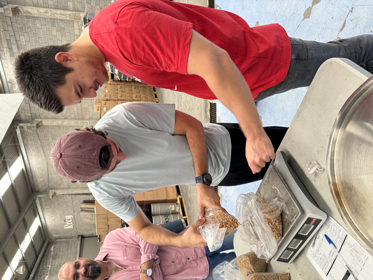 Masterclass 7 — Patricio Ferrara